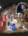 Where was Jesus Christ born? 